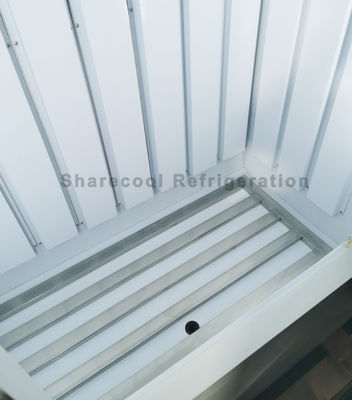 Auto Defrosting Indoor Ice Merchandiser Single Glass Door Bagged Ice Storage Freezer