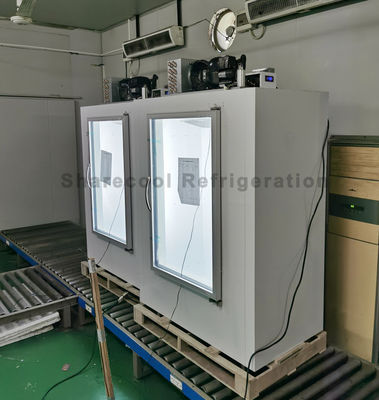 Auto Defrosting Indoor Ice Merchandiser Single Glass Door Bagged Ice Storage Freezer