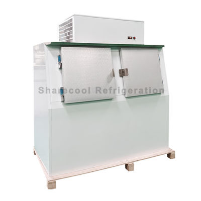 110V 60Hz Outdoor Cold Wall Ice Merchandiser Bagged Ice Storage Freezer