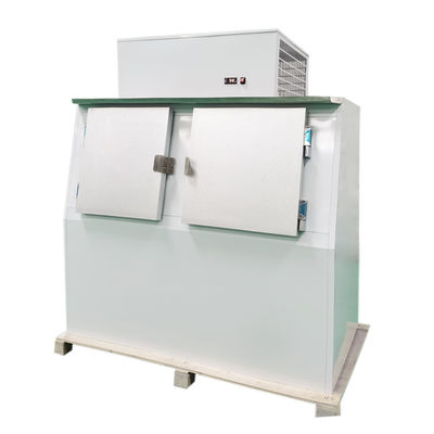 60 Cubic Feet Bagged Ice Merchandiser 1315L Outdoor For Gas Station