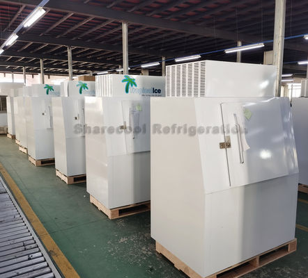 Cold Wall Energy Saving Bagged Ice Merchandiser Ice Cube Storage Freezer
