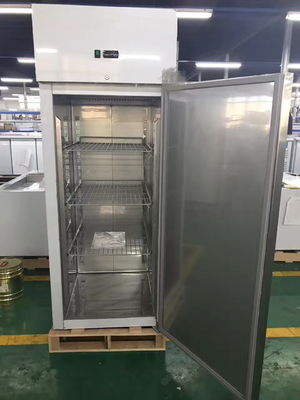 304 Grade Stainless Steel Upright Refrigerator 220V Commercial Upright Single Door Freezer