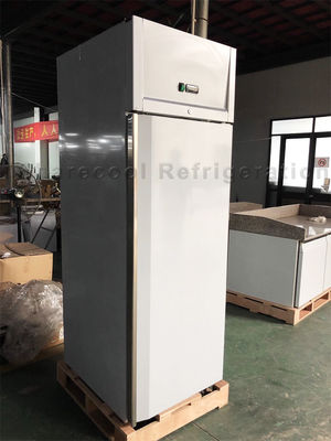 LED inisde Upright Freezer Refrigerator Monoblock Design GN Pans Applicable