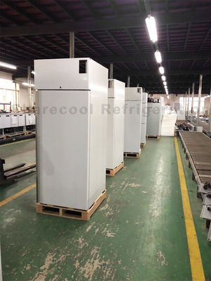 GN600TN CFC Free Stainless Steel Upright Refrigerator Single Temperature Style