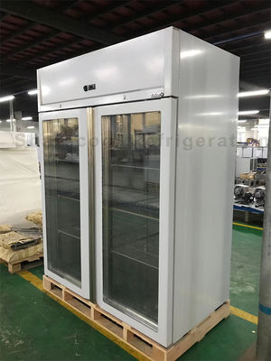 Monoblock R404a Stainless Steel Upright Freezer Defrosting Glass Door