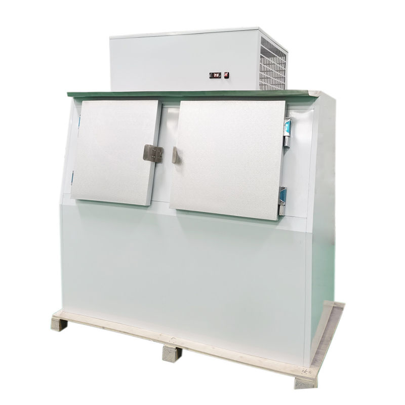 60 Cubic Feet Bagged Ice Merchandiser 1315L Outdoor For Gas Station